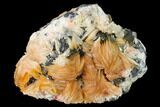 Cerussite Crystals with Bladed Barite on Galena - Morocco #165740-1